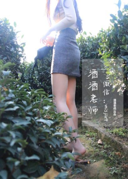 保镖钟晓男电视剧免费观看