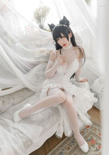 支配的教坛在线观看