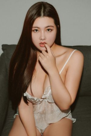 谍之心