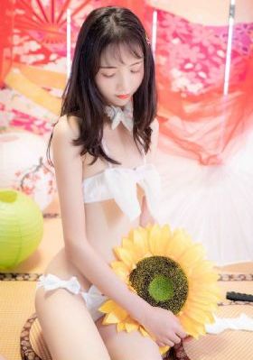 短腿的反击电视剧韩剧免费观看